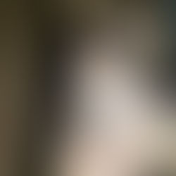 【ネズミ駆除 東京都】