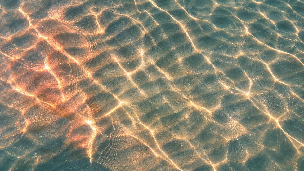 94bb16a9-c3f7-415b-a1f3-bc38243d5174.png