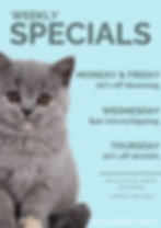 Weekly Specials