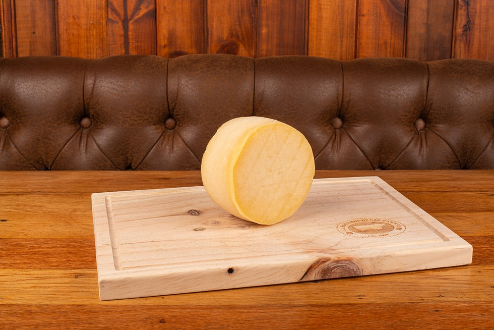 Queso paipa (460 g)