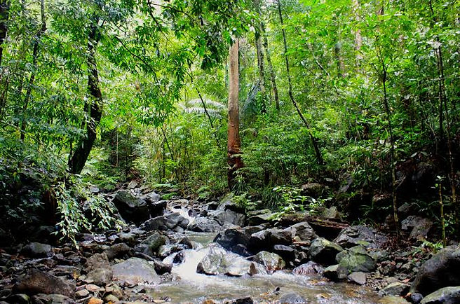 Trail2.jpg