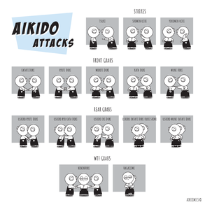 Aikido Intro #49: Attacks