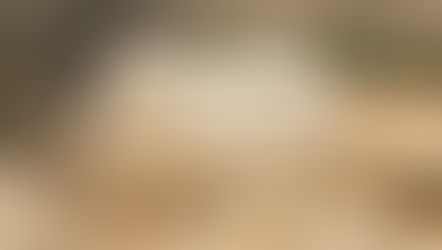 Ein Avdat National Park Hike