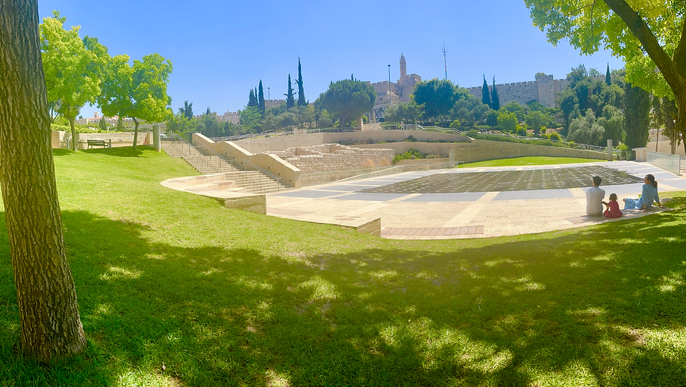 A cute family enjoyed the view with me! You can also see in the distance the Tower of David and the old city walls!
