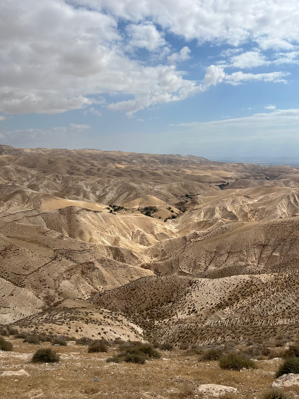 The Judean Wilderness