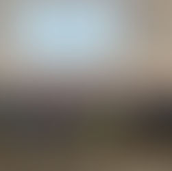 TRENTO - GREEN MARKETING con Volver-UP