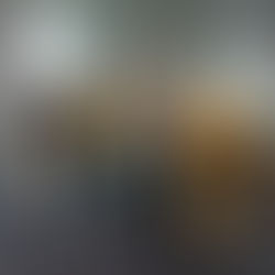 ARCO - Al termine la formazione aziendale in Germania.