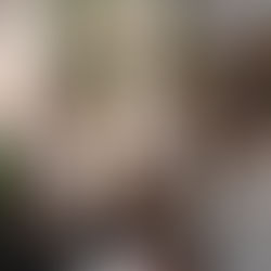 CLES - Scuola aperta e FIERA IMPRESE SIMULATE!