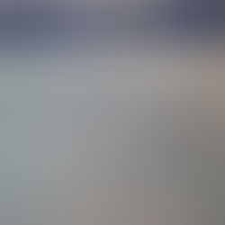 CLES - Business Transaction in Simulimpresa al Festival delle Lingue!