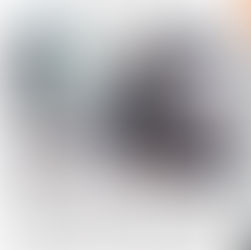 CLES: 50 diplomati e qualificati!