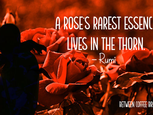 Love as a Thorn with a Rose: An Exploration through Levinas' Ethics of Love