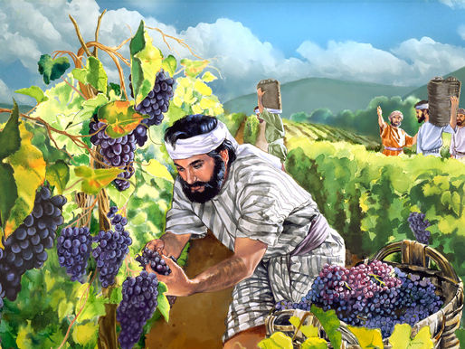 Fairness and Generosity: Exploring the Parable of the Vineyard Workers