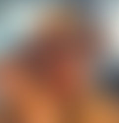 Member Spotlight: Donna Anderson