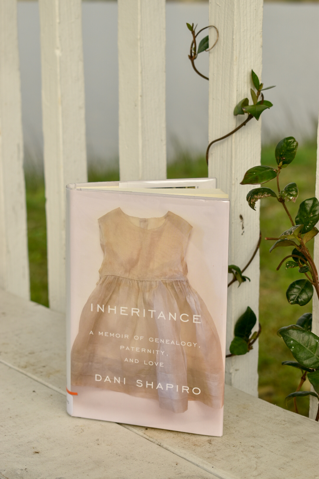 Download Book Inheritance a memoir of genealogy paternity and love by dani shapiro Free