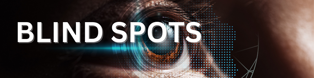 Everything You Need to Know about Network Blind Spots