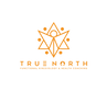 True North logo - geometric, orange with a point to north