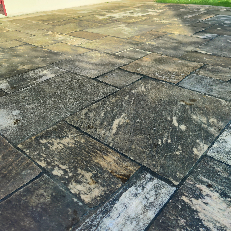 Terrasse en Quartzite jaune avant le nettoyage (zoom)
