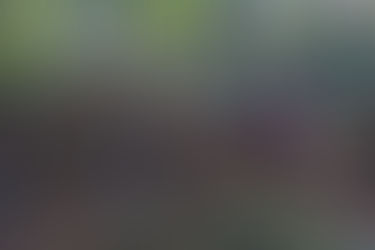 18/10/2025 : initiation au VTT au bois de Cuite