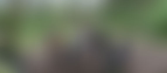 11 avril 2026 : un tour aux "bosses" avant les vacances de printemps