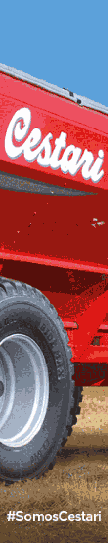 120x600.gif