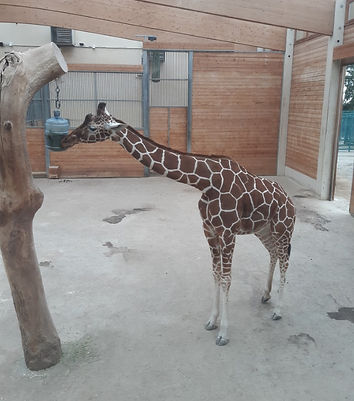 20240312_105629 (Site).jpg