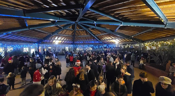 20251212_172558 (Personnalisé).jpg