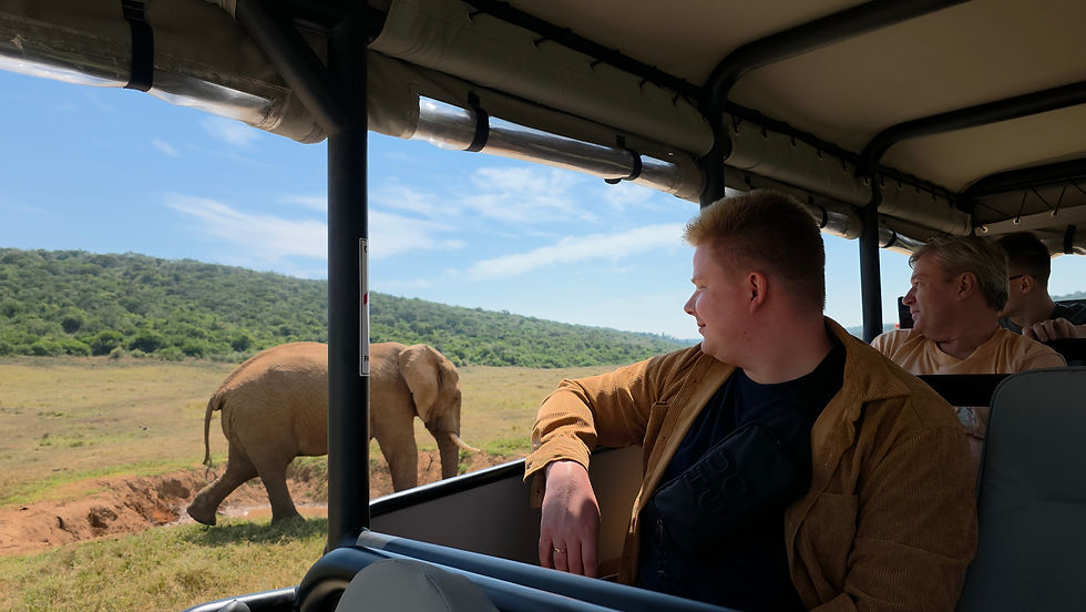 Thumbnail: Half-Day Addo Elephant National Park Safari