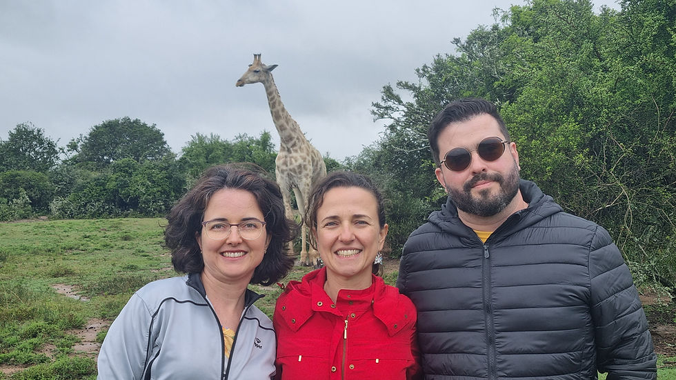 Thumbnail: Full-Day Addo Park & Giraffe Walk Safari