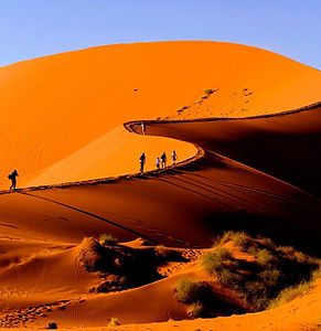 Dune45