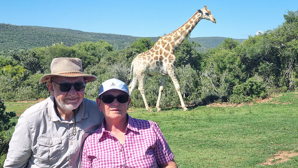Thumbnail: Full-Day Addo Park & Giraffe Walk Safari