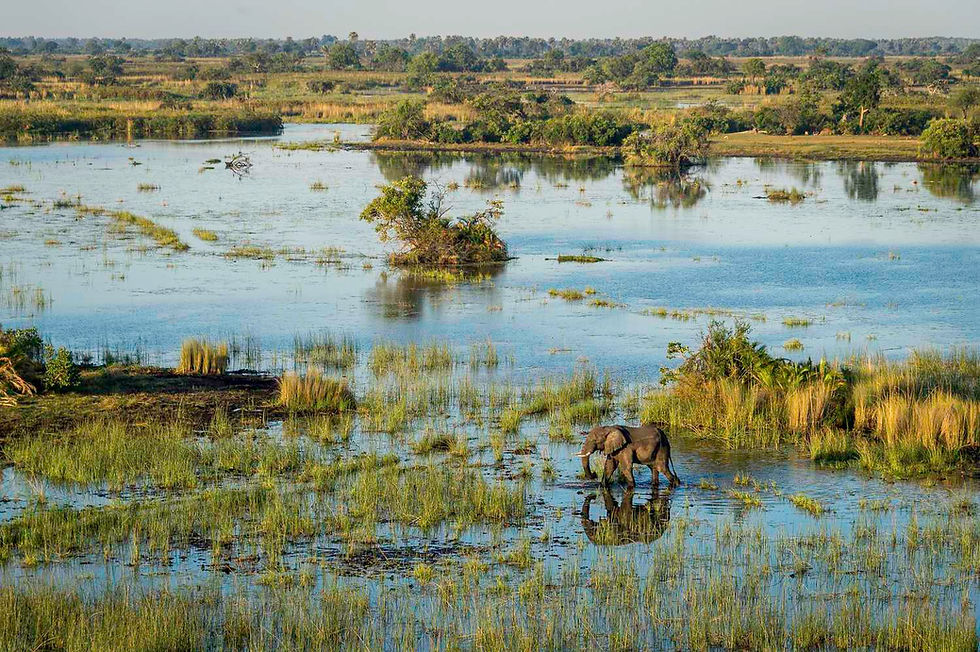 Okavango Delta
