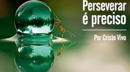 HoNoR Perseverança!!!