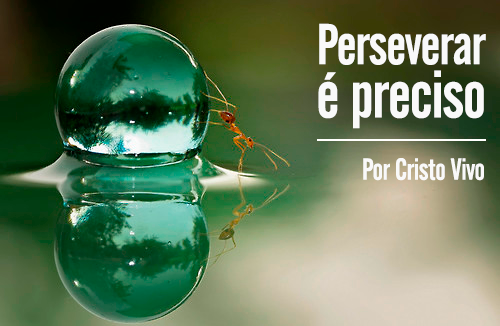 HoNoR Perseverança!!!