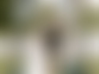 Why Lenoir Couples Choose Big R Orchards for Four-Season Mountain Ceremonies