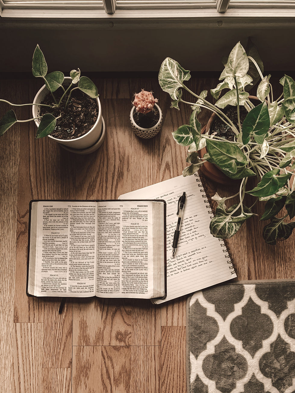 Bible with rosary