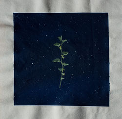 Aristolochy.  2019. Oil on canvas. 13'' x 13'' (33.02cm x 33.02cm)