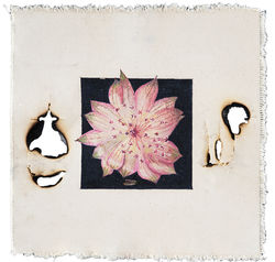 Know Thyself. 2021. Oil, soot and walleria impatience petal on canvas. 10'' x 10'' ( 25.4cm x 25.4cm