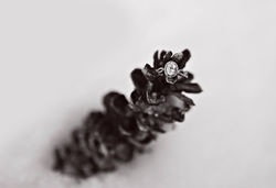 15972433_1220592171365764_6121829895683831668_o