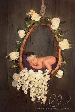 17436291_1279313532160294_2768848416649665643_o