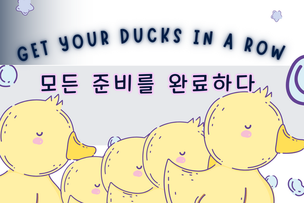 "get your ducks in a row" meaning and sentence
