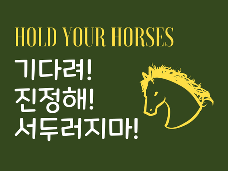 Hold Your Horses