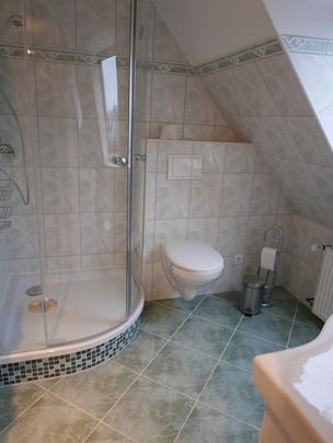 Hier befindet sich die Dusche, ein WC und ein Waschtisch