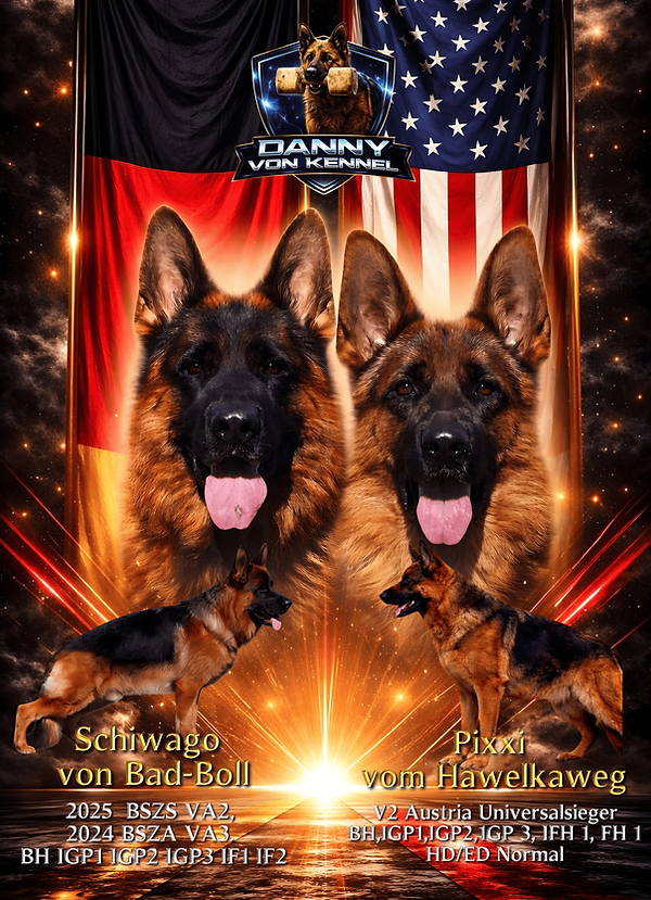 IMG_5625 (1) (1).png