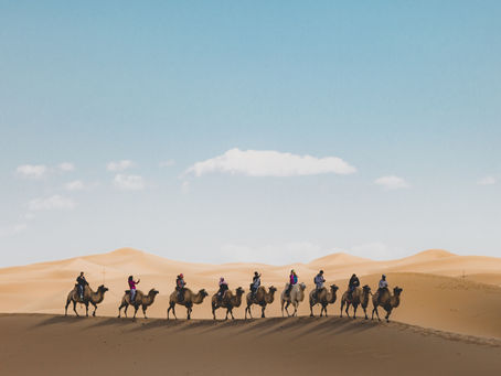 A Magical Day Trip to the Agafay Desert with Riad Nelia Marrakech