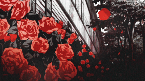 IMG_2181.gif