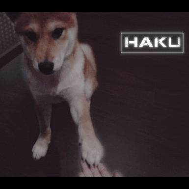 main-cover2.gif