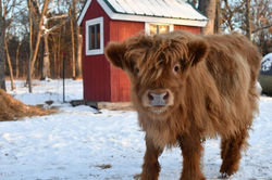 f9b3dc81-5c70-4c6e-b4dc-da0ed88ee1c0