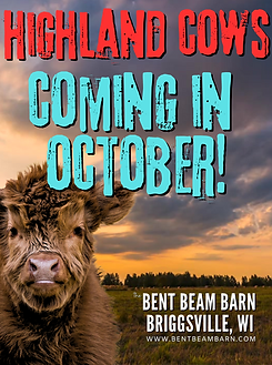 cows at the bent beam (3).png