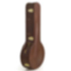 Irish-Tenor-Banjo-Hard-Case-Music-Instrument-Protection Irish Music Gifts