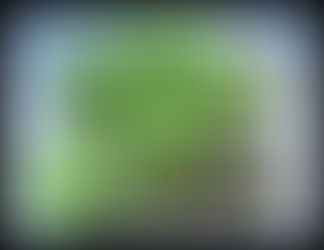 Cake aux noix et aux herbes fraiches